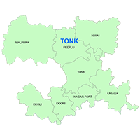 Tonk