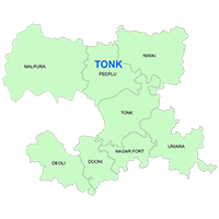 Tonk Center